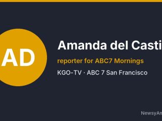 Amanda del Castillo, reporter for ABC7 Mornings, KGO-TV