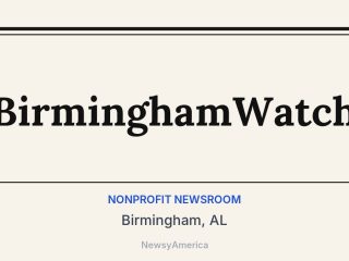 BirminghamWatch, Birmingham, AL