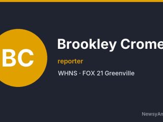 Brookley Cromer, reporter, WHNS