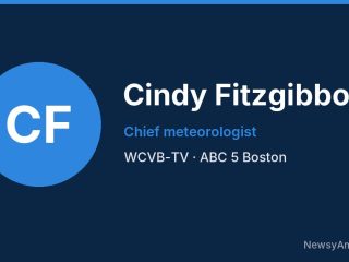Cindy Fitzgibbon, Chief meteorologist, WCVB-TV