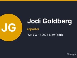 Jodi Goldberg, reporter, WNYW