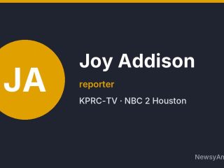 Joy Addison, reporter, KPRC-TV