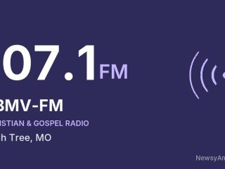 KBMV-FM 107.1 FM, Birch Tree, MO