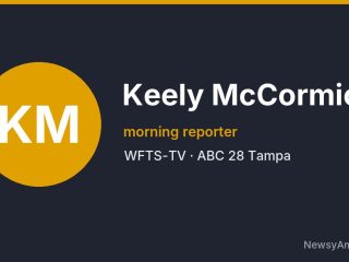 Keely McCormick, morning reporter, WFTS-TV