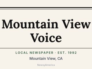 Mountain View Voice