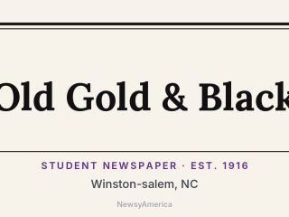 Old Gold & Black