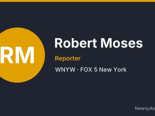 Robert Moses, Reporter, WNYW