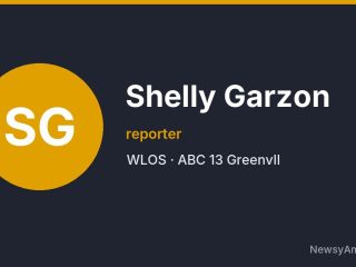 Shelly Garzon, reporter, WLOS