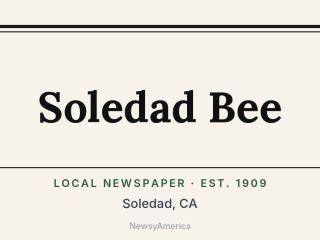 Soledad Bee