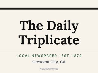 The Daily Triplicate