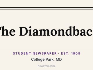 The Diamondback