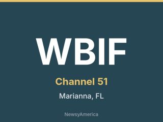 WBIF