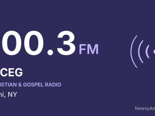 WCEG 100.3 FM, Delhi, NY
