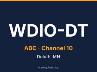 WDIO-DT