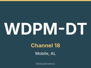 WDPM-DT