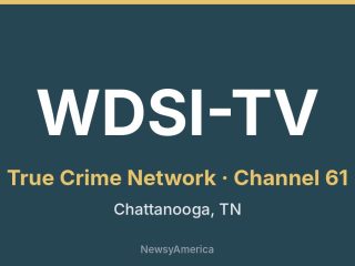 WDSI-TV