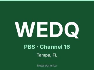 WEDQ