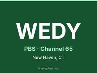 WEDY