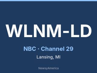 WLNM-LD channel 29, Lansing, MI