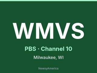 WMVS