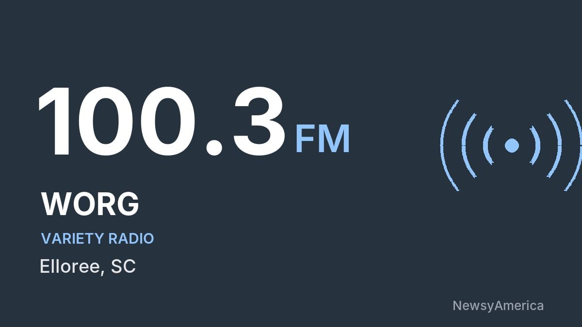 WORG 100.3 FM – Elloree