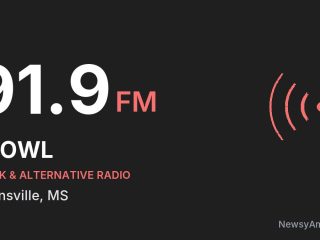 WOWL 91.9 FM, Burnsville, MS