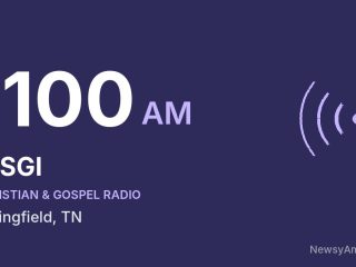 WSGI 1100 AM, Springfield, TN