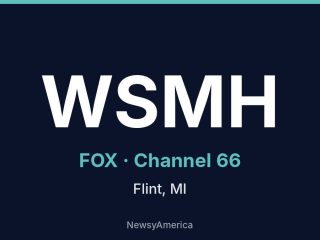 WSMH