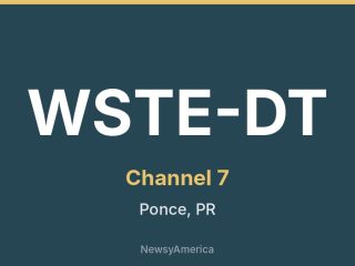 WSTE-DT