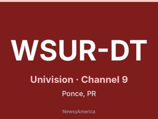 WSUR-DT
