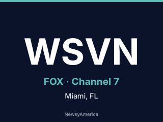 WSVN