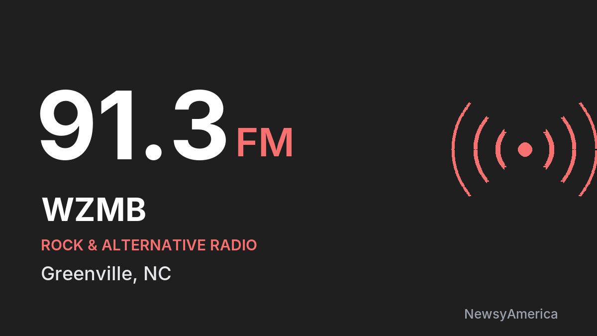 WZMB 91.3 FM – Greenville